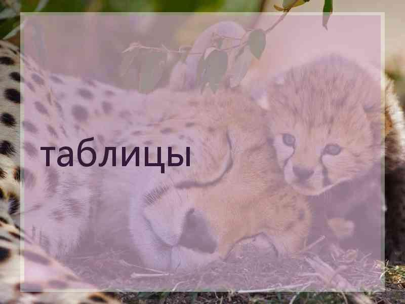 таблицы