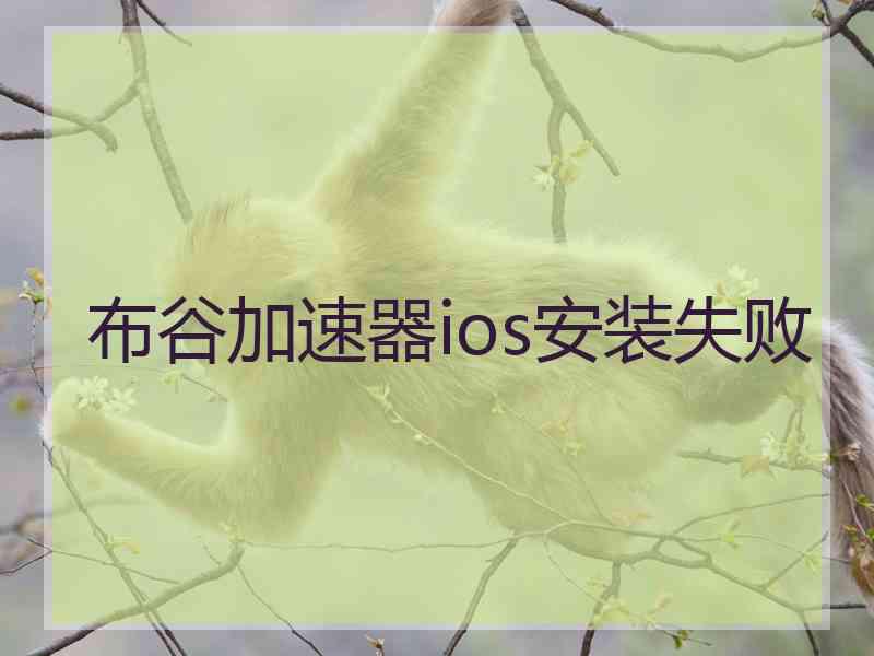 布谷加速器ios安装失败