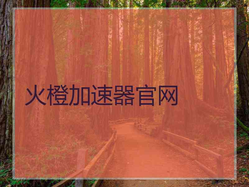 火橙加速器官网