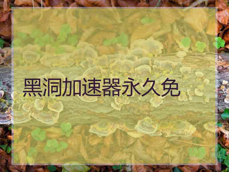 黑洞加速器永久免