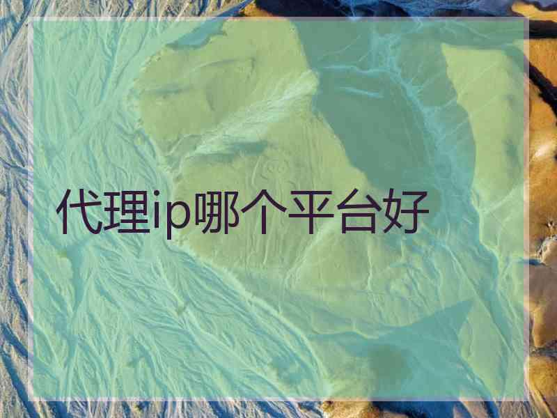 代理ip哪个平台好