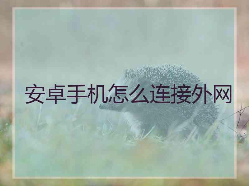 安卓手机怎么连接外网