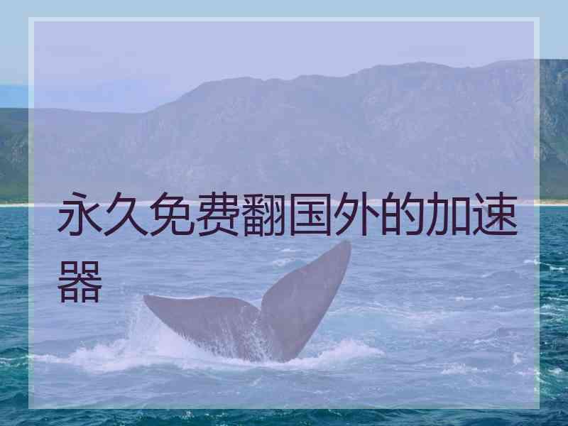 永久免费翻国外的加速器