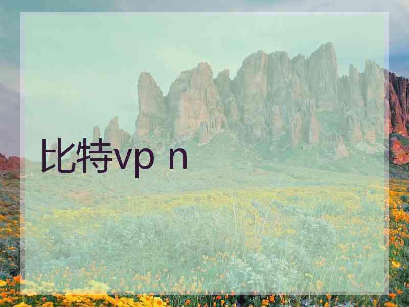 比特vp n