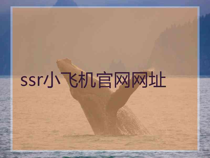 ssr小飞机官网网址