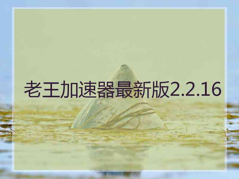 老王加速器最新版2.2.16