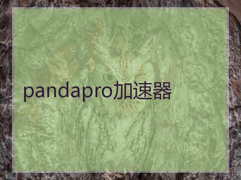 pandapro加速器