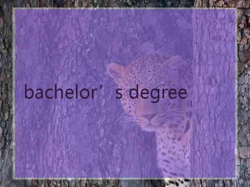 bachelor’s degree