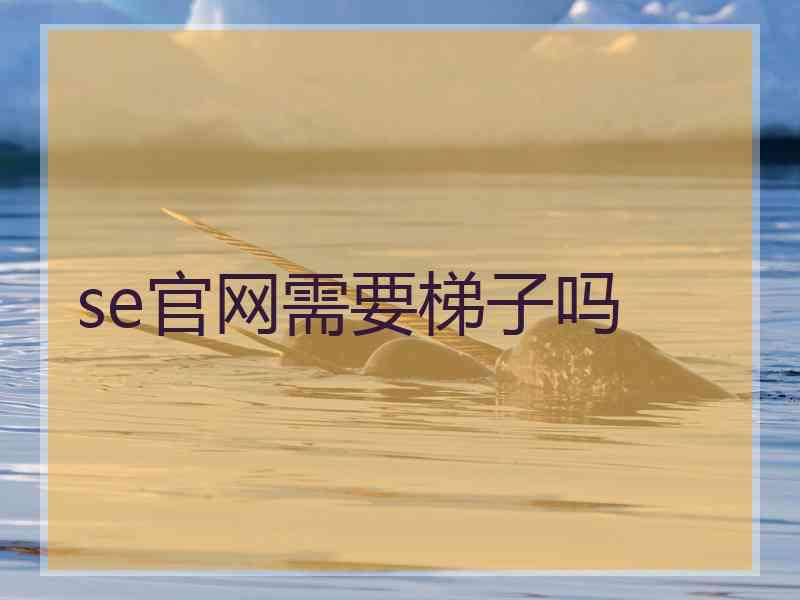 se官网需要梯子吗
