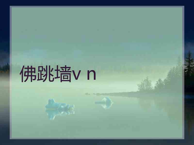 佛跳墙v n
