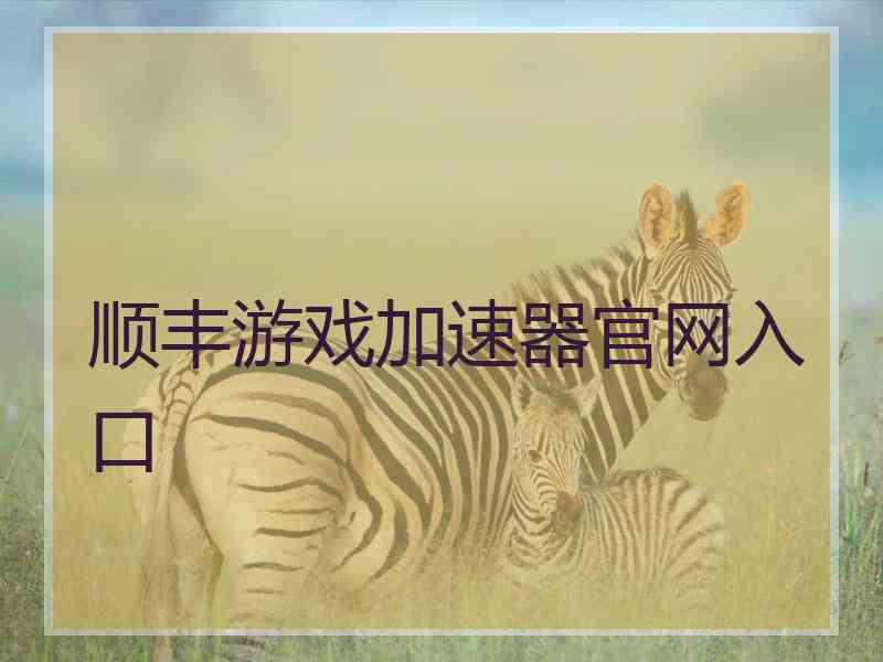 顺丰游戏加速器官网入口