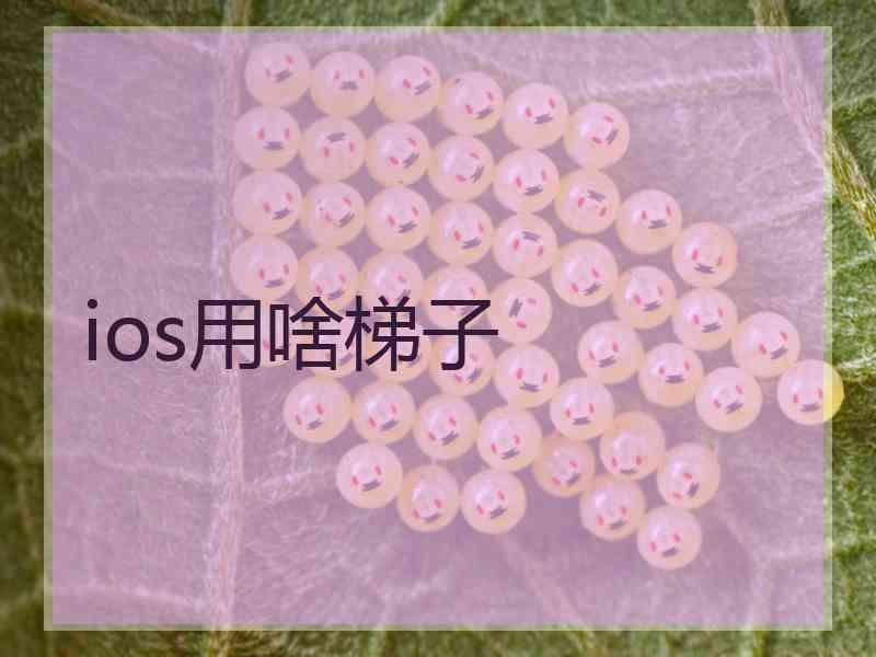 ios用啥梯子