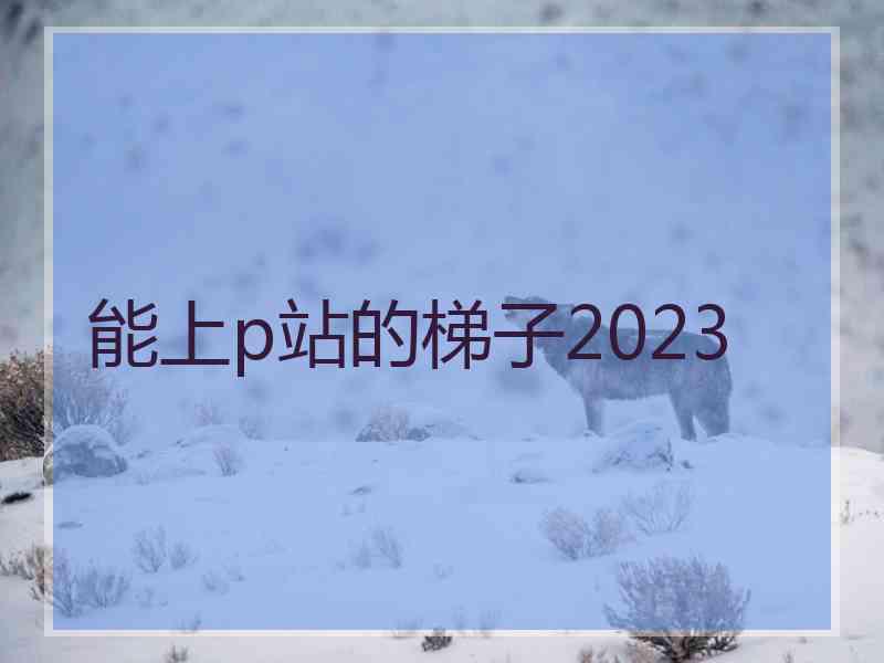 能上p站的梯子2023
