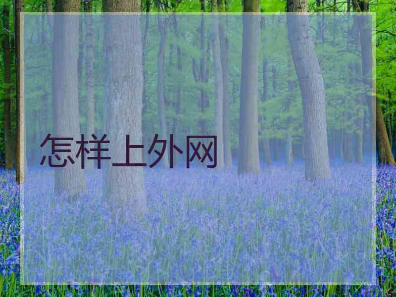怎样上外网
