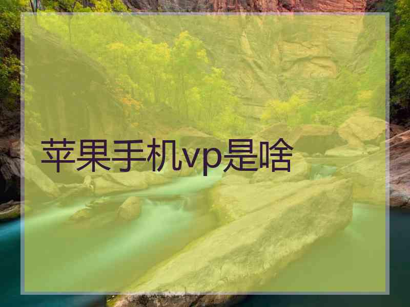 苹果手机vp是啥