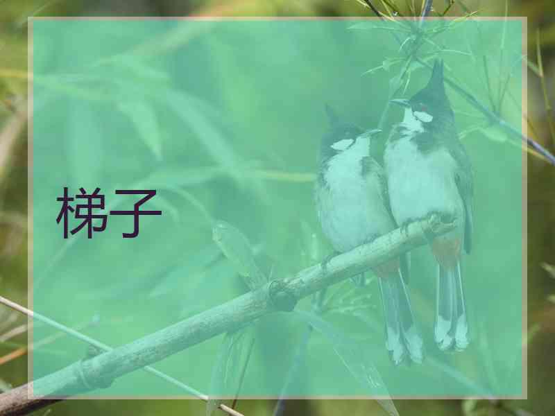 梯子