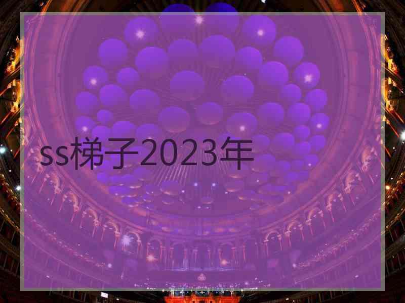 ss梯子2023年