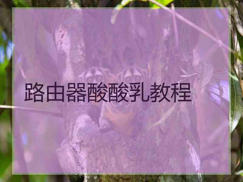 路由器酸酸乳教程