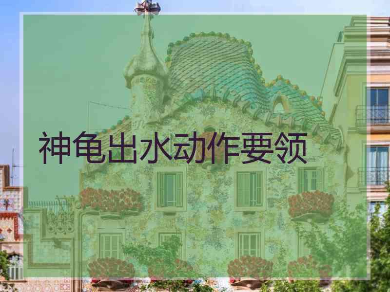 神龟出水动作要领