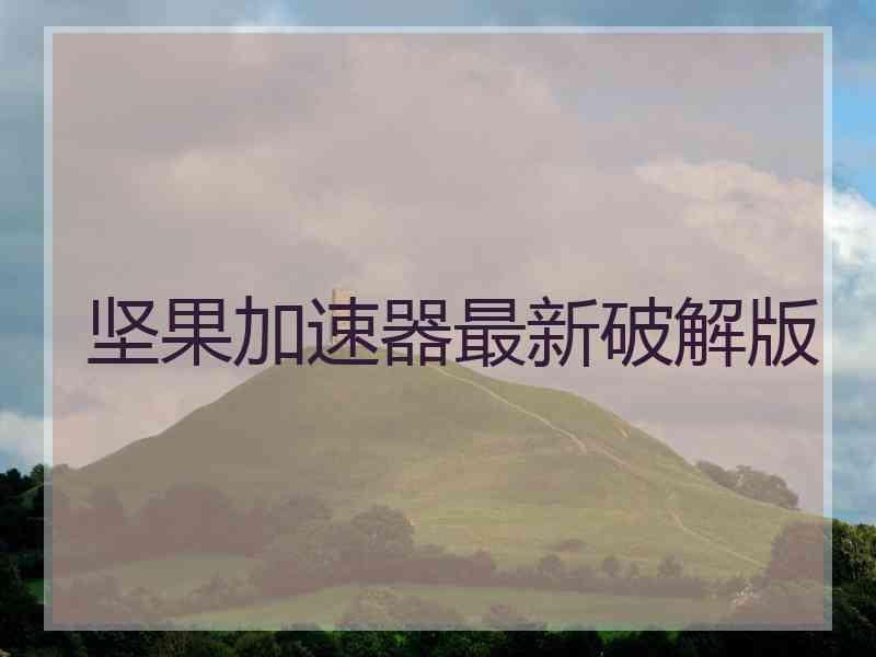 坚果加速器最新破解版