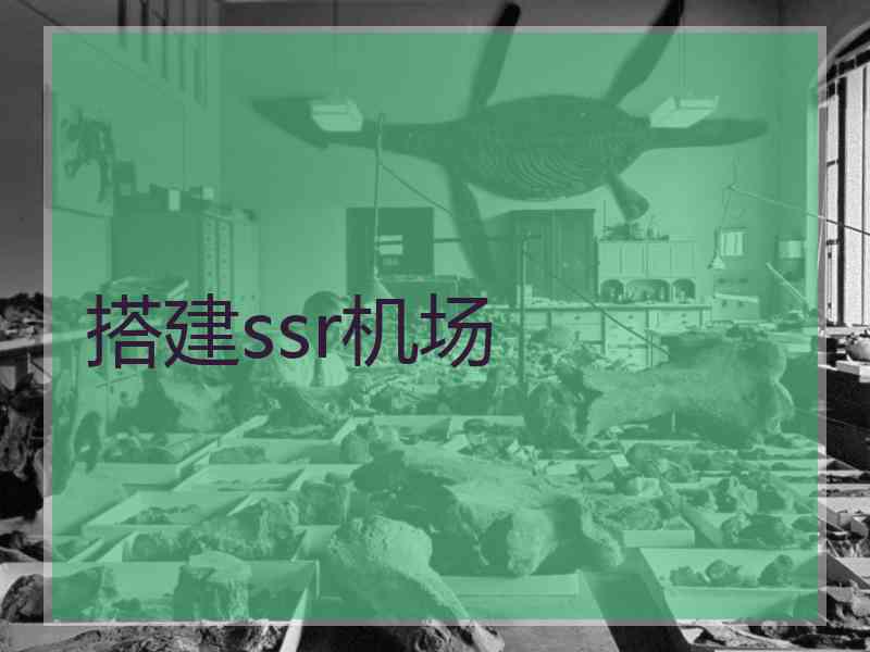 搭建ssr机场