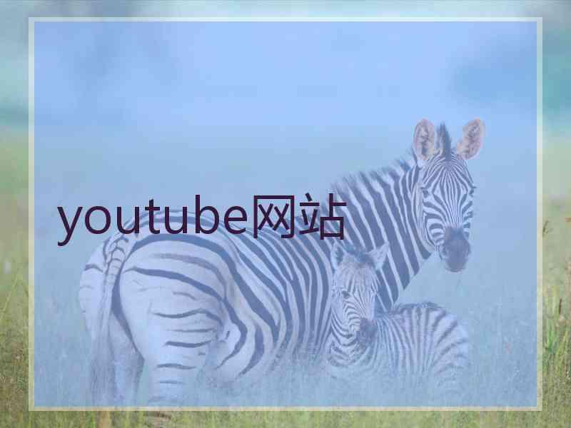 youtube网站