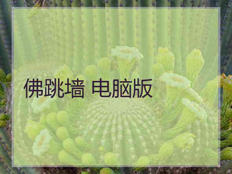 佛跳墙 电脑版
