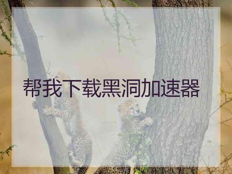 帮我下载黑洞加速器