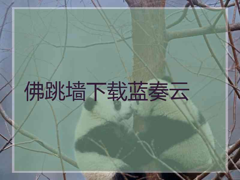佛跳墙下载蓝奏云