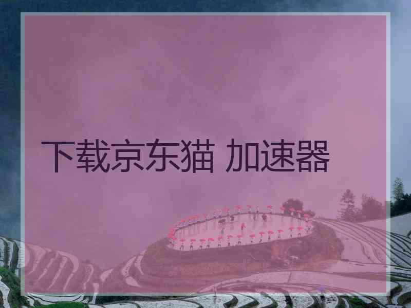下载京东猫 加速器