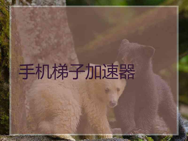 手机梯子加速器