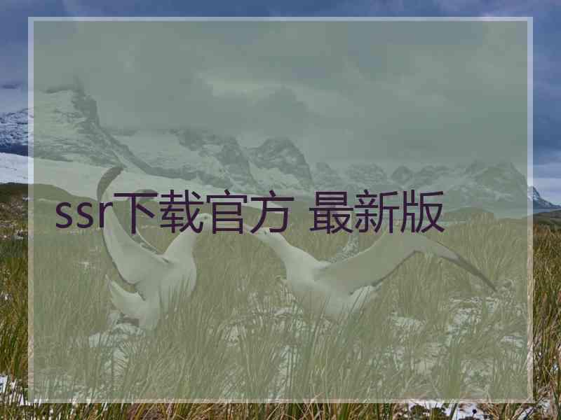 ssr下载官方 最新版