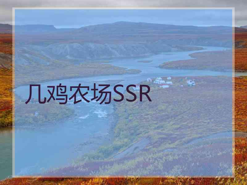 几鸡农场SSR