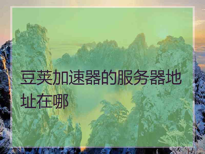 豆荚加速器的服务器地址在哪