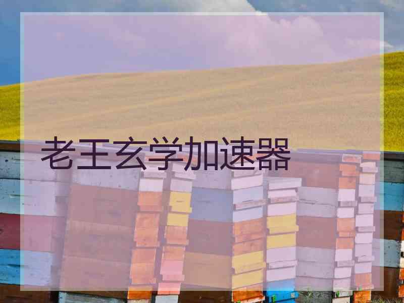 老王玄学加速器