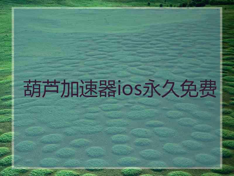 葫芦加速器ios永久免费