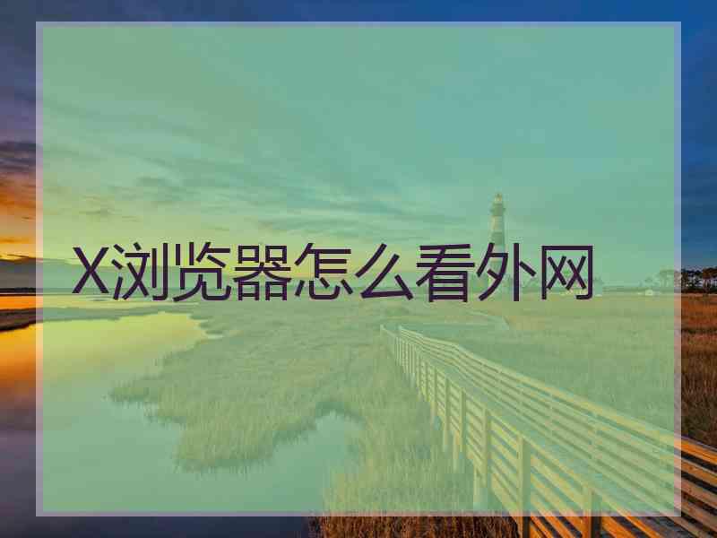 X浏览器怎么看外网