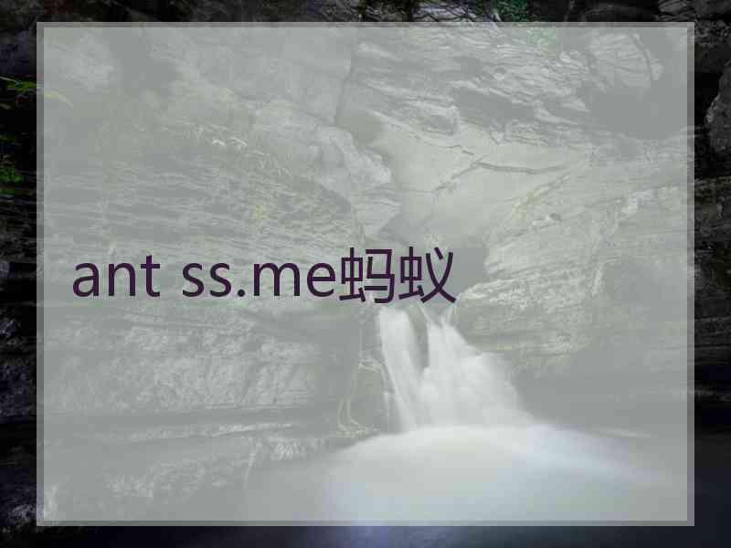 ant ss.me蚂蚁