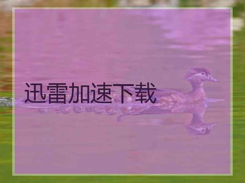 迅雷加速下载