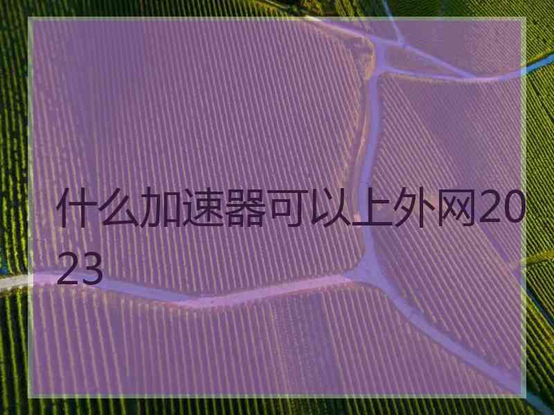 什么加速器可以上外网2023