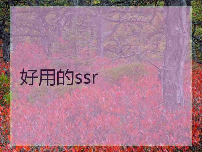 好用的ssr