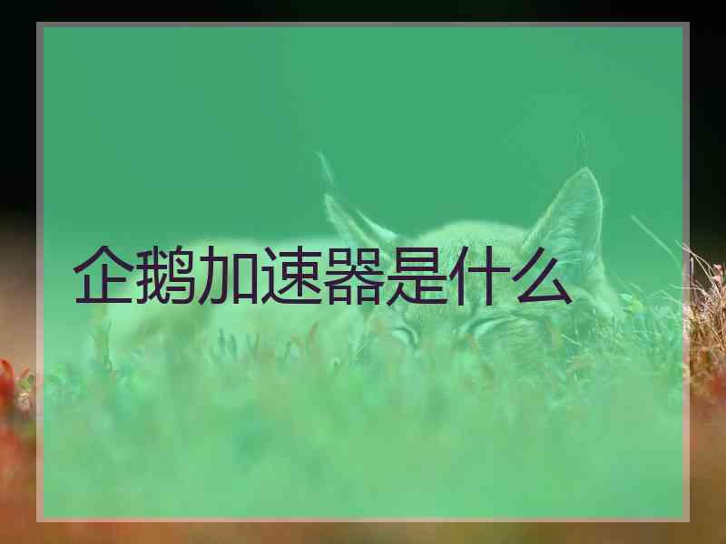 企鹅加速器是什么