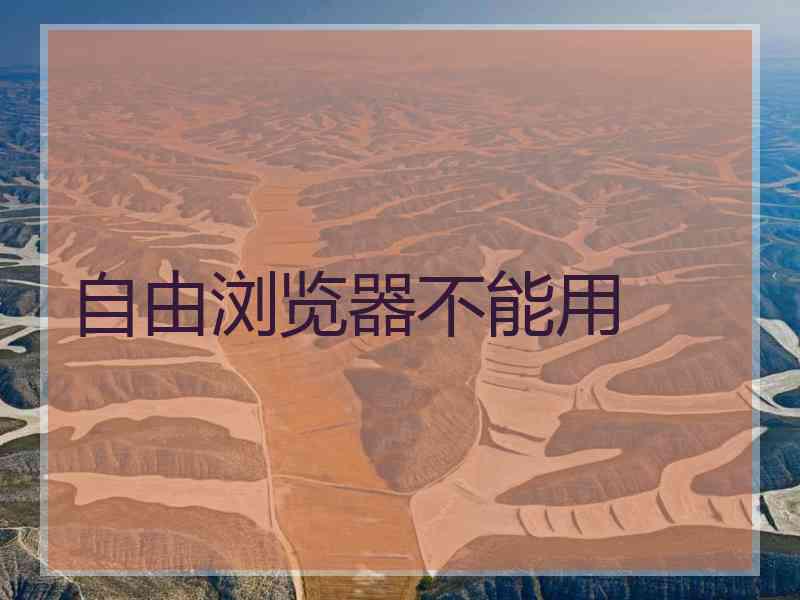 自由浏览器不能用
