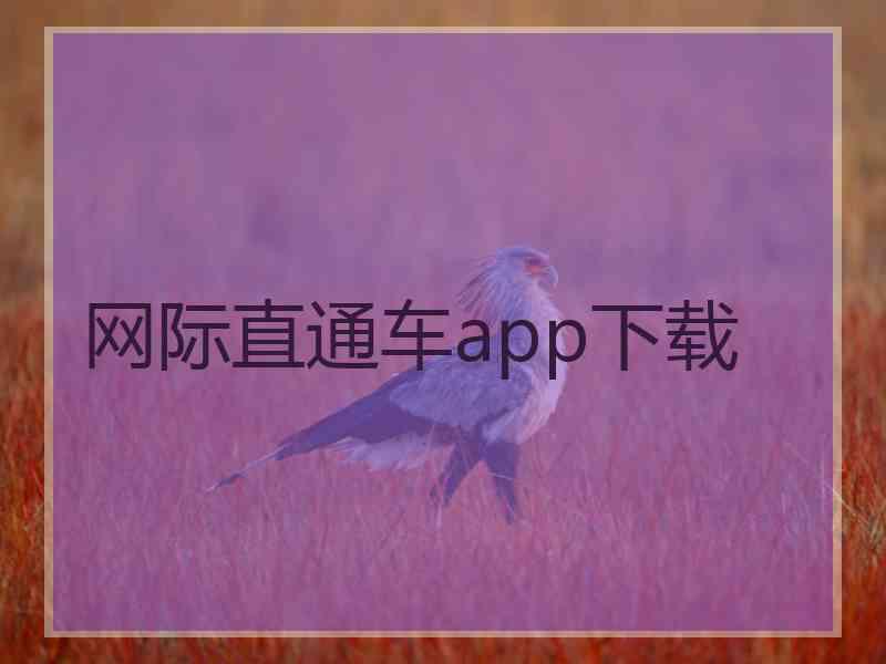 网际直通车app下载