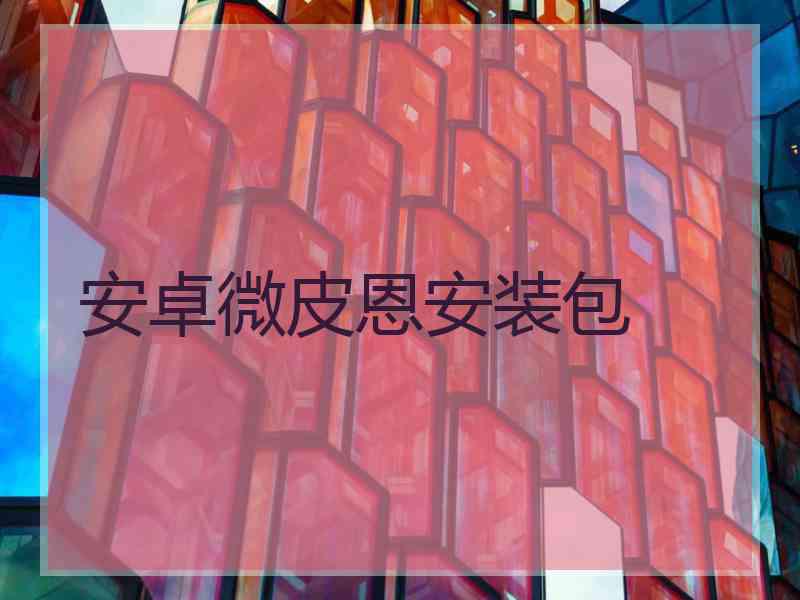 安卓微皮恩安装包