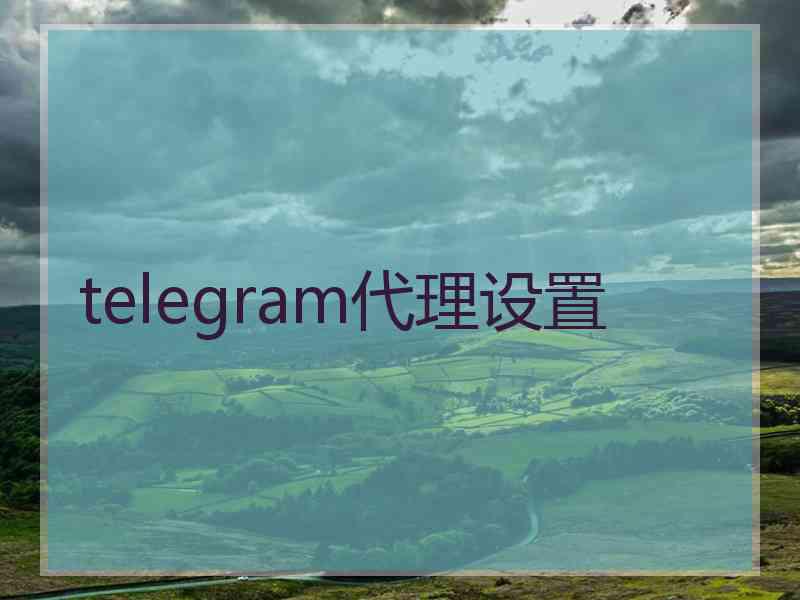 telegram代理设置