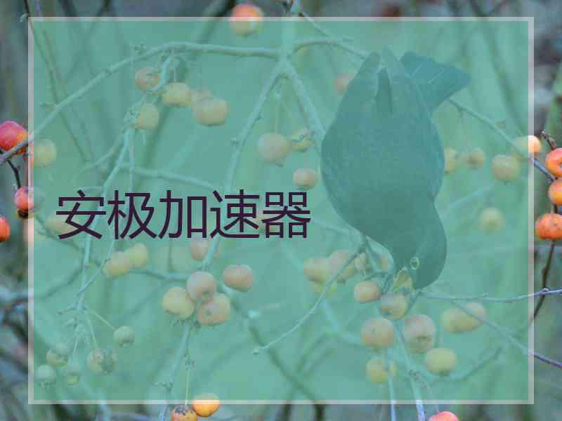 安极加速器