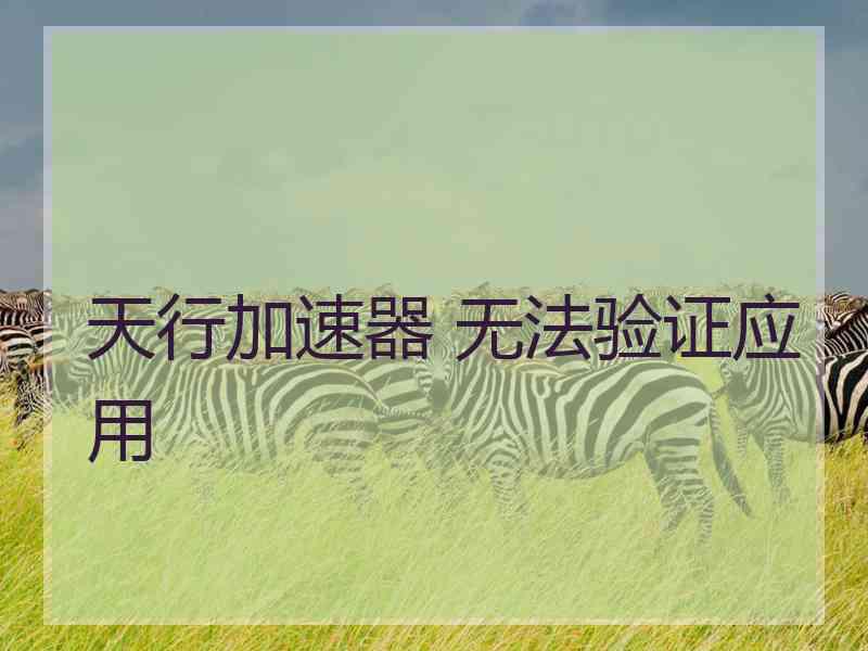 天行加速器 无法验证应用