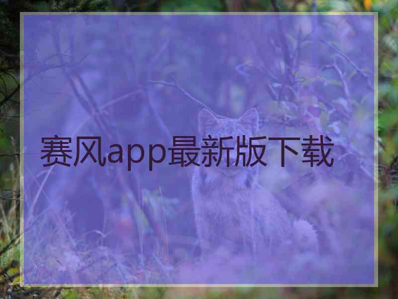 赛风app最新版下载