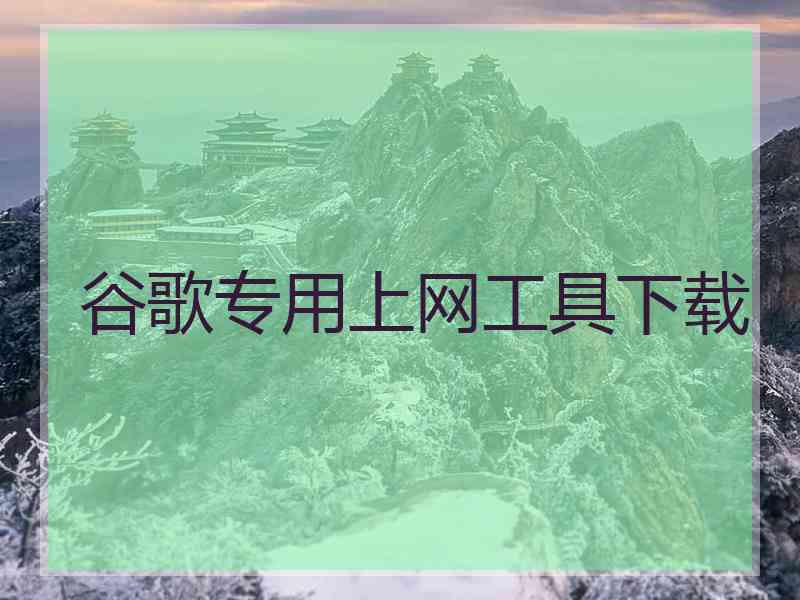 谷歌专用上网工具下载